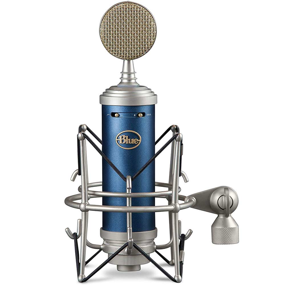 bluebird mic not working mac