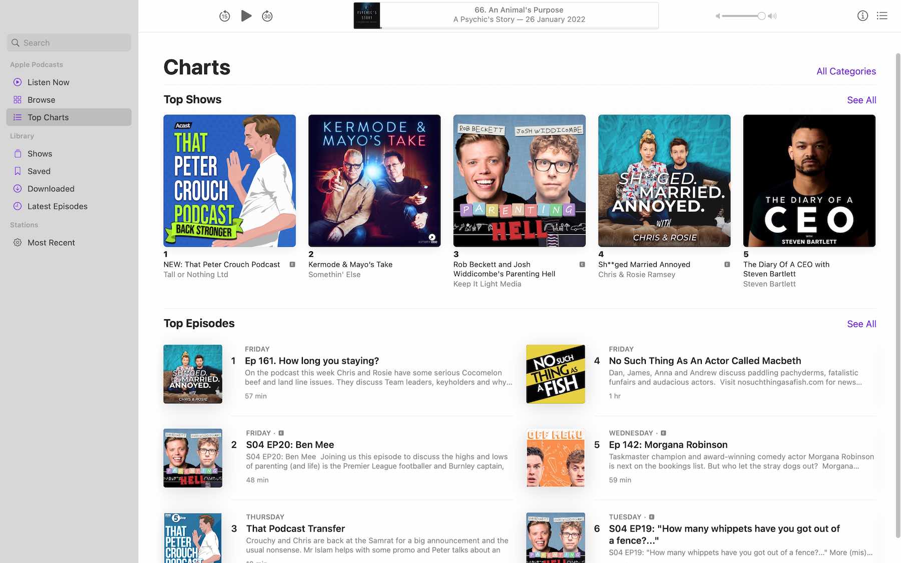 Detailed on How Do the Apple Podcast Charts Work